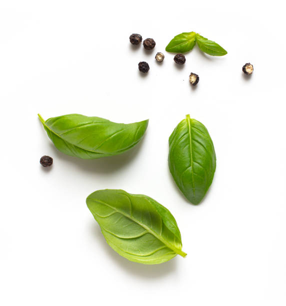 istock fresh green basil leaves and black pepper isolated on white background, top view 1293429403