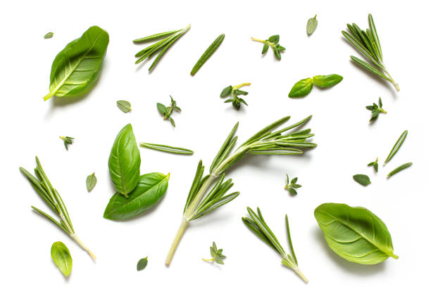 istock flat lay composition of various green herbs isolated on white background, top view 1293429500