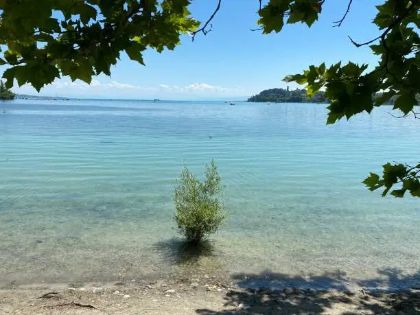 Photo of Landscape of the Lake Constance und Flower Island  - Constance, Germany or Konstanz, Deutschland