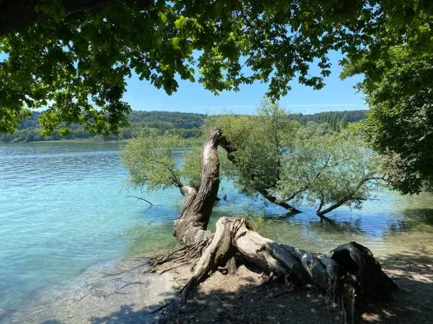 Photo of Landscape of the Lake Constance und Flower Island  - Constance, Germany or Konstanz, Deutschland