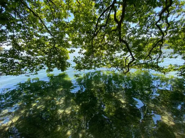 Photo of Landscape of the Lake Constance und Flower Island  - Constance, Germany or Konstanz, Deutschland