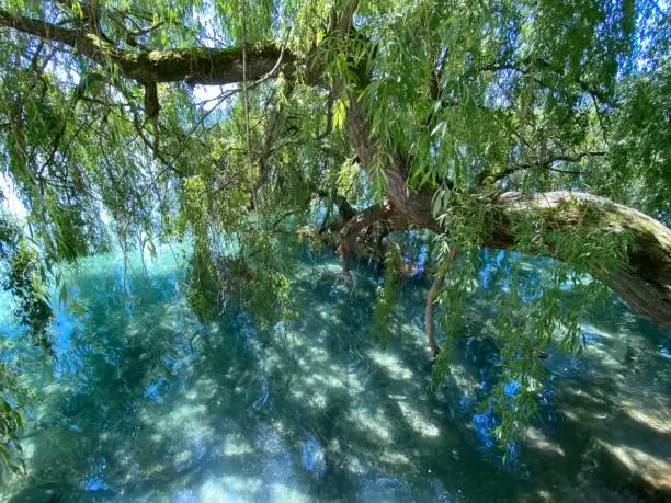 Photo of Landscape of the Lake Constance und Flower Island  - Constance, Germany or Konstanz, Deutschland