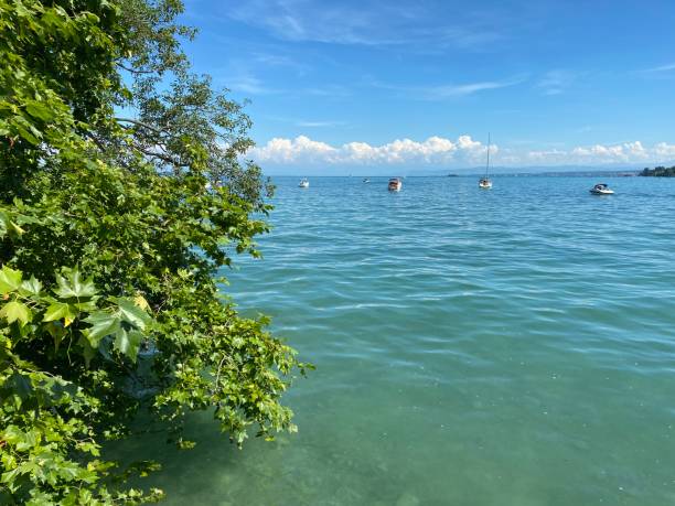 Landscape of the Lake Constance und Flower Island  - Constance, Germany or Konstanz, Deutschland stock photo