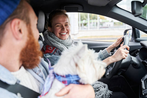 istock Man enjoying riding with his fluffy 1293431718