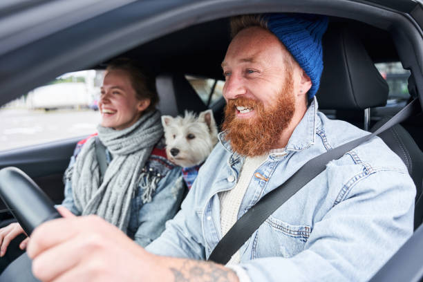 istock Family driving together 1293431729