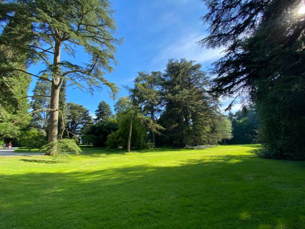 istock Arboretum (Tree Collection or Baumsammlung) - Constance, Germany or Konstanz, Deutschland 1293432672