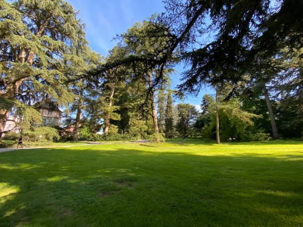 Arboretum (Tree Collection or Baumsammlung) - Constance, Germany or Konstanz, Deutschland