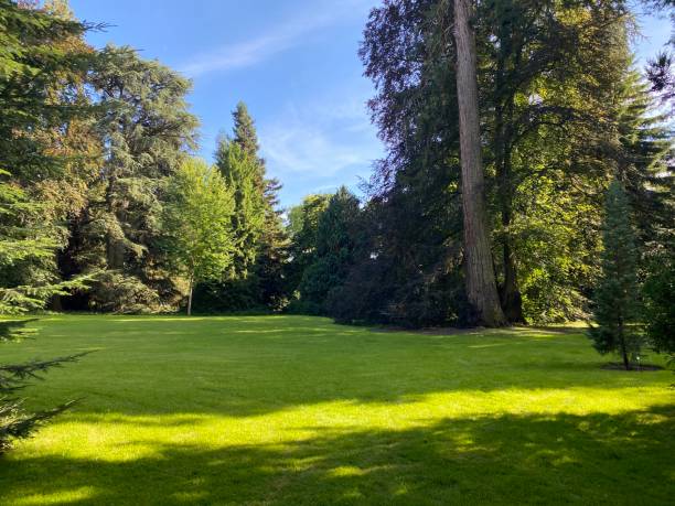 istock Arboretum (Tree Collection or Baumsammlung) - Constance, Germany or Konstanz, Deutschland 1293432787