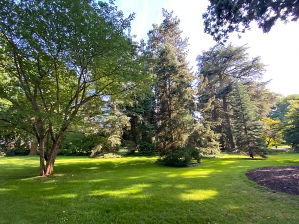 istock Arboretum (Tree Collection or Baumsammlung) - Constance, Germany or Konstanz, Deutschland 1293432835