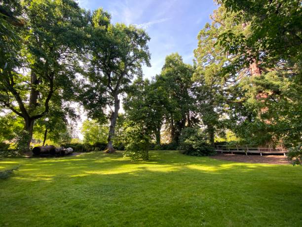 istock Arboretum (Tree Collection or Baumsammlung) - Constance, Germany or Konstanz, Deutschland 1293432924