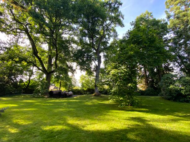 istock Arboretum (Tree Collection or Baumsammlung) - Constance, Germany or Konstanz, Deutschland 1293432926
