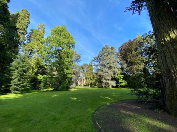istock Arboretum (Tree Collection or Baumsammlung) - Constance, Germany or Konstanz, Deutschland 1293432985