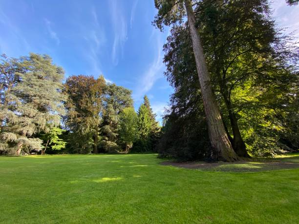 istock Arboretum (Tree Collection or Baumsammlung) - Constance, Germany or Konstanz, Deutschland 1293433009