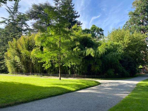 Arboretum (Tree Collection or Baumsammlung) - Constance, Germany or Konstanz, Deutschland