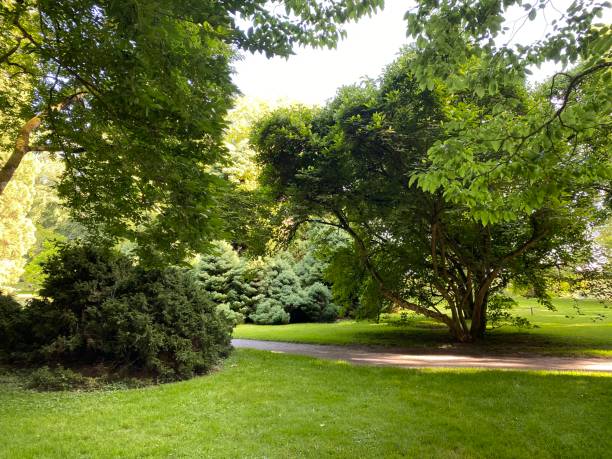 Arboretum (Tree Collection or Baumsammlung) - Constance, Germany or Konstanz, Deutschland