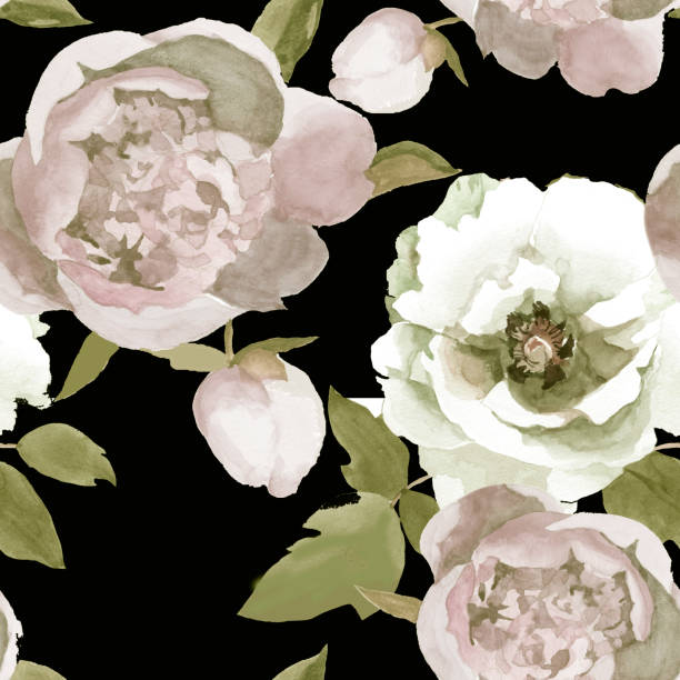 istock Watercolor white and light pink peonies with khaki leaves on black seamless pattern. 1293433665