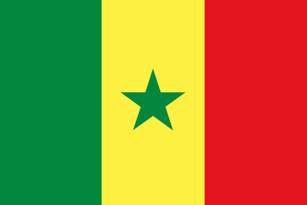 Flag Senegal Flag Senegal. senegal flag stock illustrations