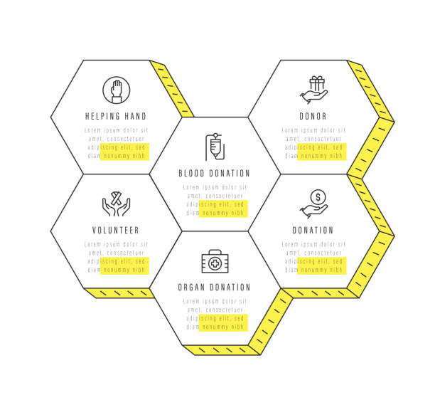 istock Infographic design template. Helping Hand, Blood Donation, Donor, Donation, Organ Donation, Volunteer icons with 6 options or steps. 1293437618