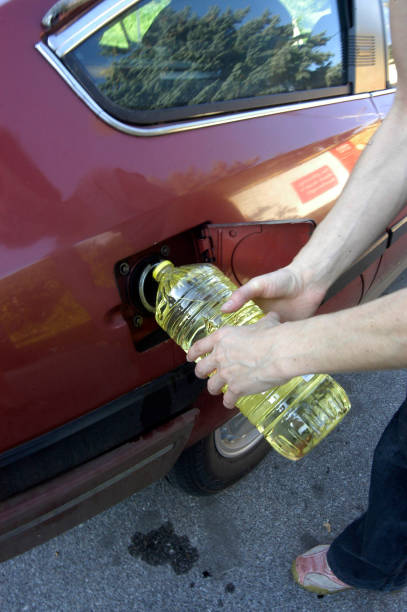 istock filling up the car with Biodiesel 1293437798