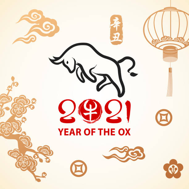 Year of the Ox Celebration Celebrate the Year of the Ox 2021 with brush drawing ox and calligraphy on the background of gold colored Chinese stamp, cloud, lantern, flowers and money sign, the vertical Chinese stamp means year of the ox according to lunar calendar system Ink and Brush stock illustrations