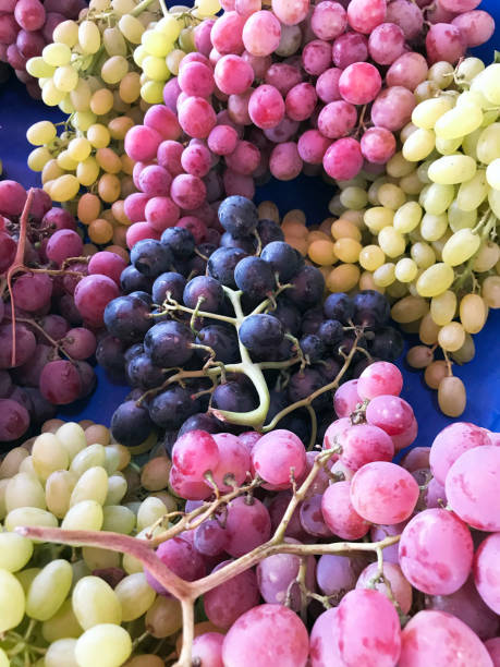 istock Bunch of different types of fresh grapes 1293443472