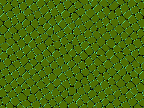 seamless  green   squama   pattern
