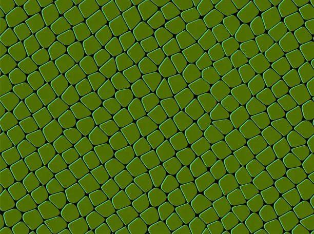 Vector illustration of seamless  green   squama   pattern