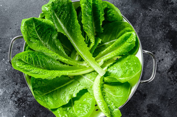 istock Romaine lettuce salad in a colander. Black background. Top view 1293446733