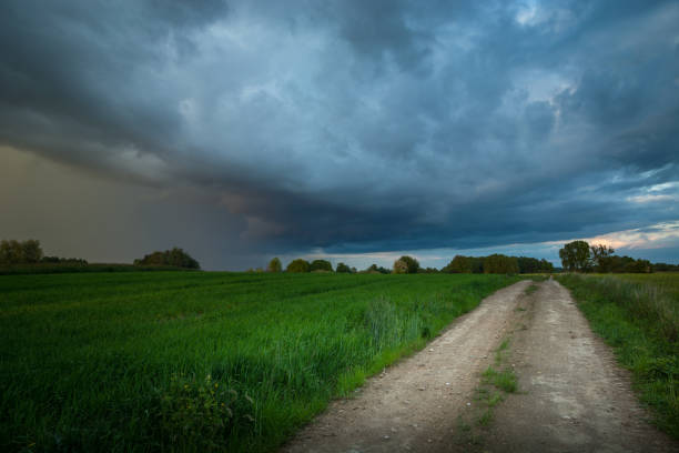 istock A dirt road through green fields and a huge rain cloud 1293447105