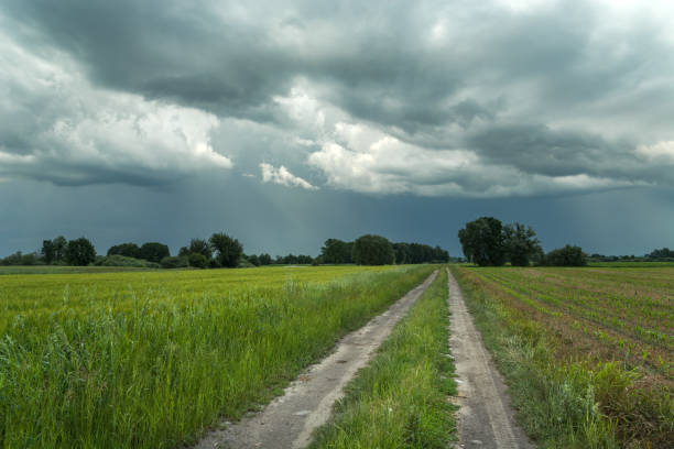 istock Sandy road through green fields and rainy sky 1293447117