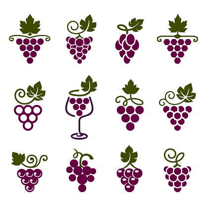 Set of leaves, bunch of grapes in simple flat style. Logos, icons for wine design concept or viticulture. Grapes decorative pattern. Vector illustration.