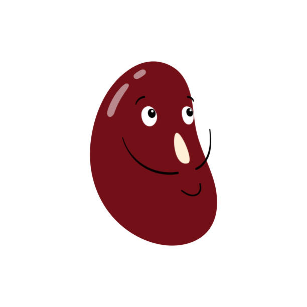 Beans with a cute smiling face. Vector stock hand-drawn illustration isolated on a white background. Beans with a cute smiling face. Vector stock hand-drawn illustration isolated on a white background happy green peas stock illustrations