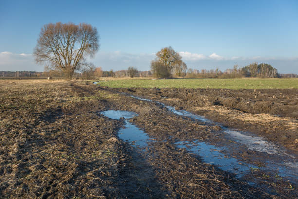 istock Mud and water on dirt road through the fields 1293449246