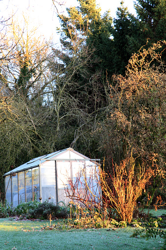 Greenhouse in a winter garden