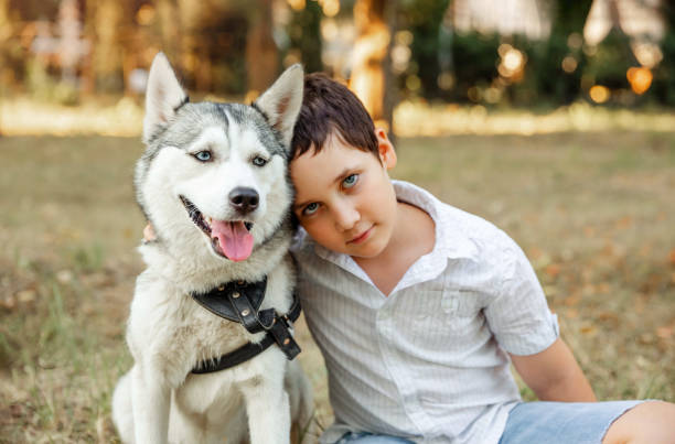 istock Selective focus on husky dog. Blurred happy kid cuddling puppy 1293450629
