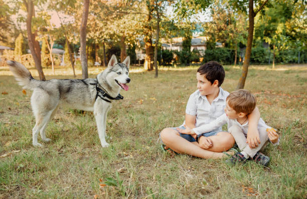 маленькие мальчики с любовью обнимают свою любимую собаку. активный здоровый образ жизни - dog walking child little boys стоковые фото и изображения