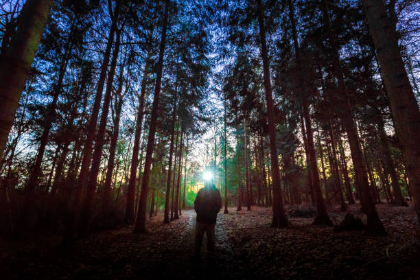 istock Man wearing headlamp shining a light in dark forest 1293453147