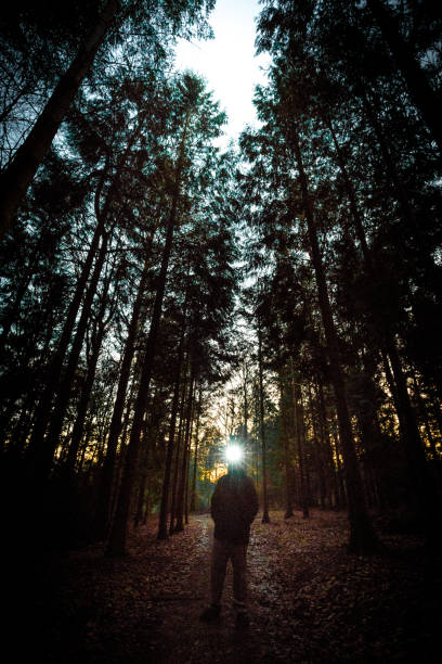 istock Man wearing headlamp shining a light in dark forest 1293453155