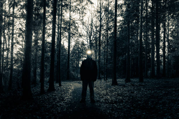 istock Man wearing headlamp shining a light in dark forest 1293453156
