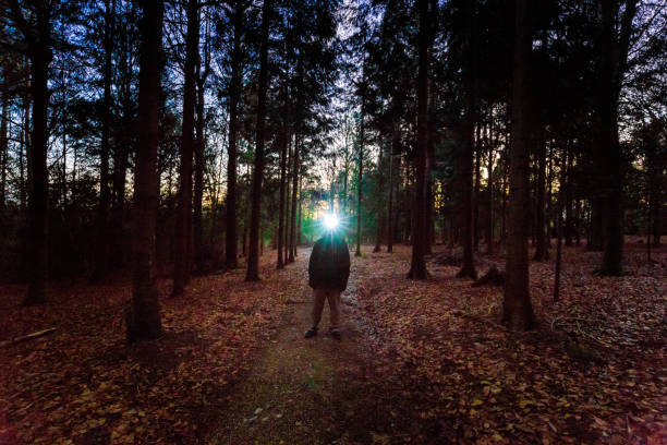 istock Man wearing headlamp shining a light in dark forest 1293453159