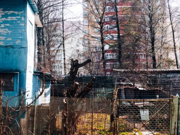 fenced-in area with garden in spring, Moscow