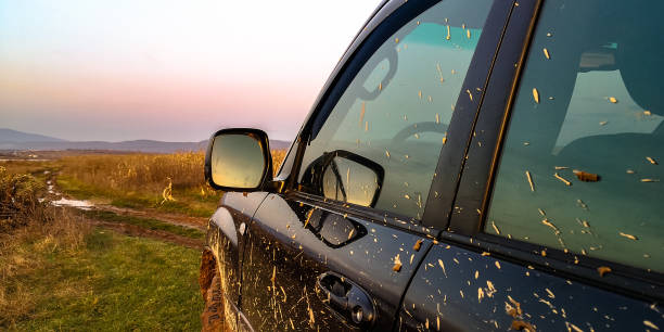 istock SUV near the lake at sunset 1293454431