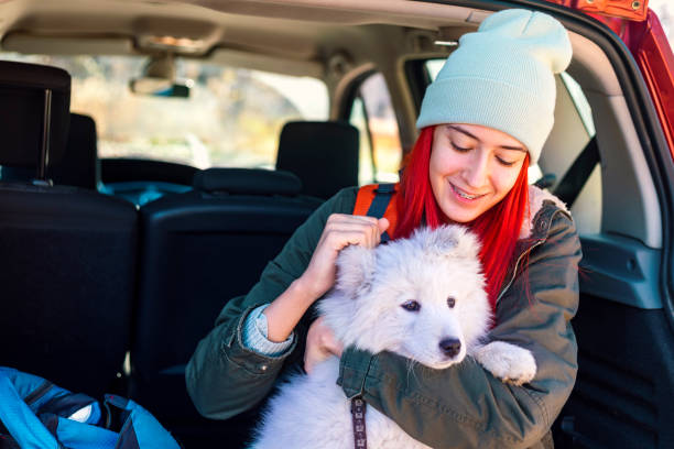istock In adventure with the best friends 1293454922