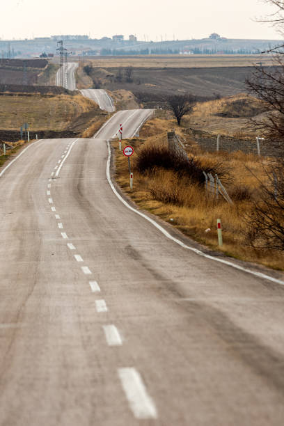 istock Empty Asphalt Road at coronavirus pandemic curfew 1293458273