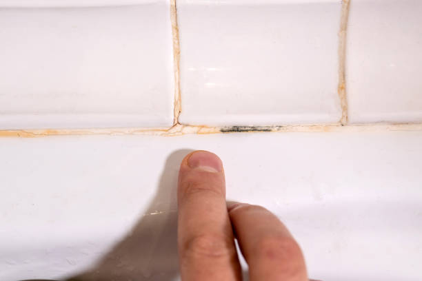 selador de silicone é. na cabine do chuveiro. umidade e umidade. foco seletivo - mildewed - fotografias e filmes do acervo