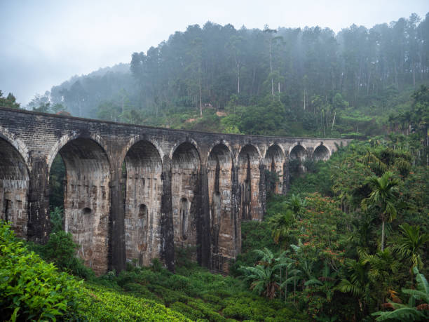 istock Famous nine arch bridge viaduct in Sri Lanka, Ella 1293459875