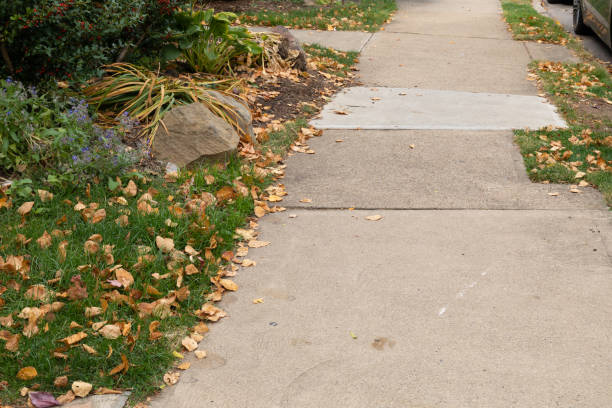 istock Urban sidewalk bordered with grass and garden, yellow fall leaves, copy space 1293460000