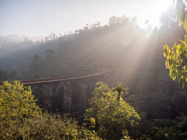 istock Famous nine arch bridge viaduct in Sri Lanka, Ella 1293460105