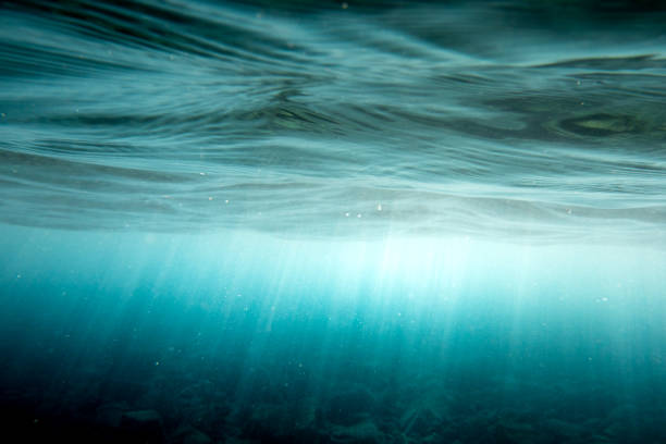 istock Scenic view of underwater sea 1293460673
