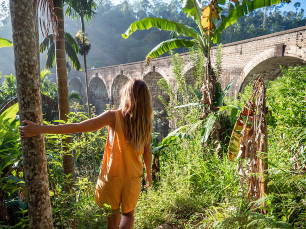 istock Woman wanders in tropical jungle, she explores Sri Lanka 1293460736